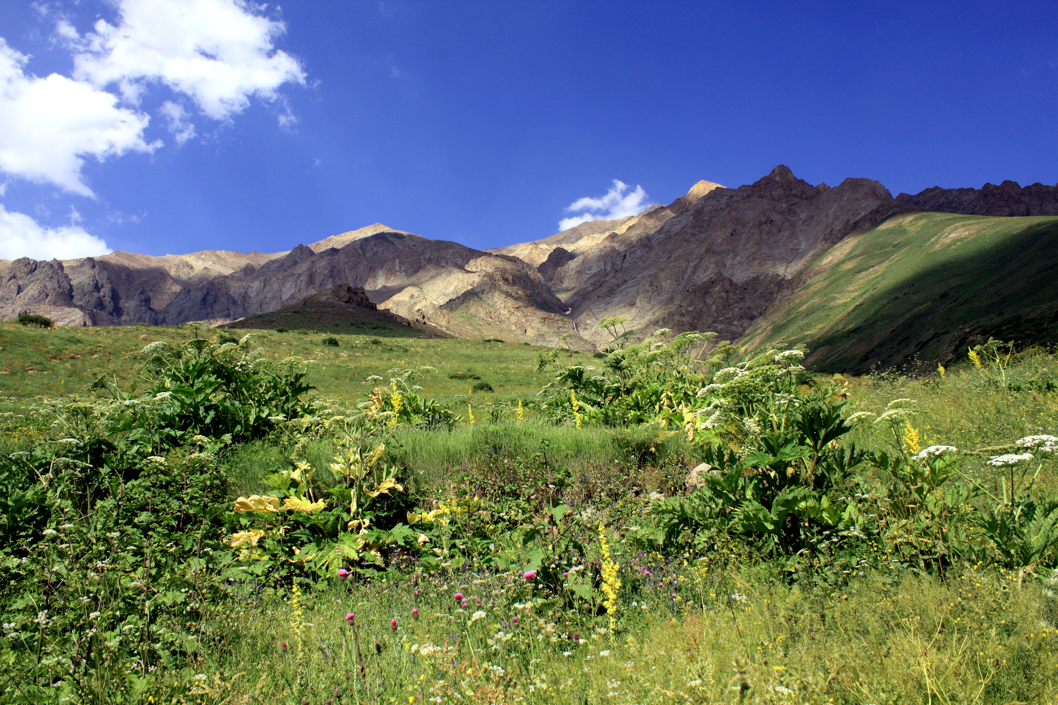 Iran, Vackra fält och bergskedjor Vandramera - Vandringsresor