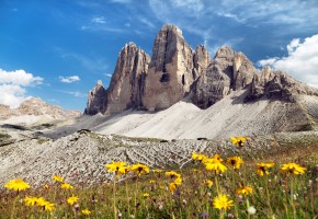 Cortina vackra berg och blommor Vandramera - Vandringsresor